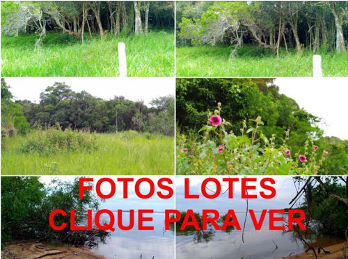 Fotos Lotes